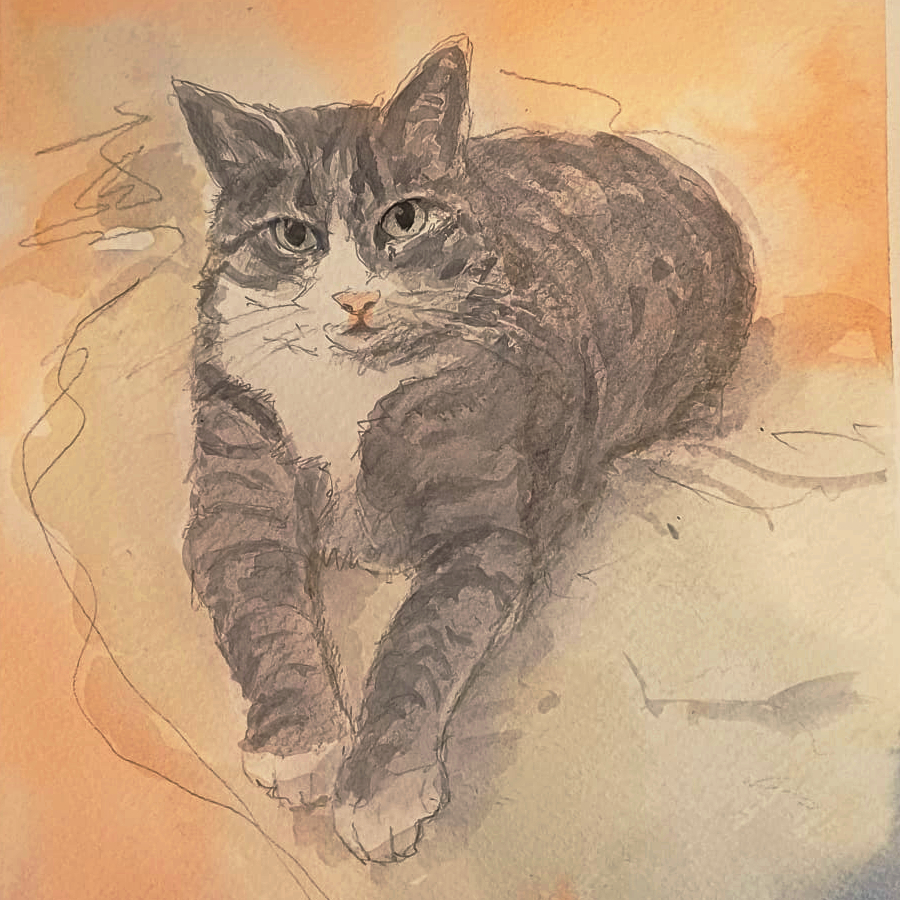 Katzenportrait nach Foto